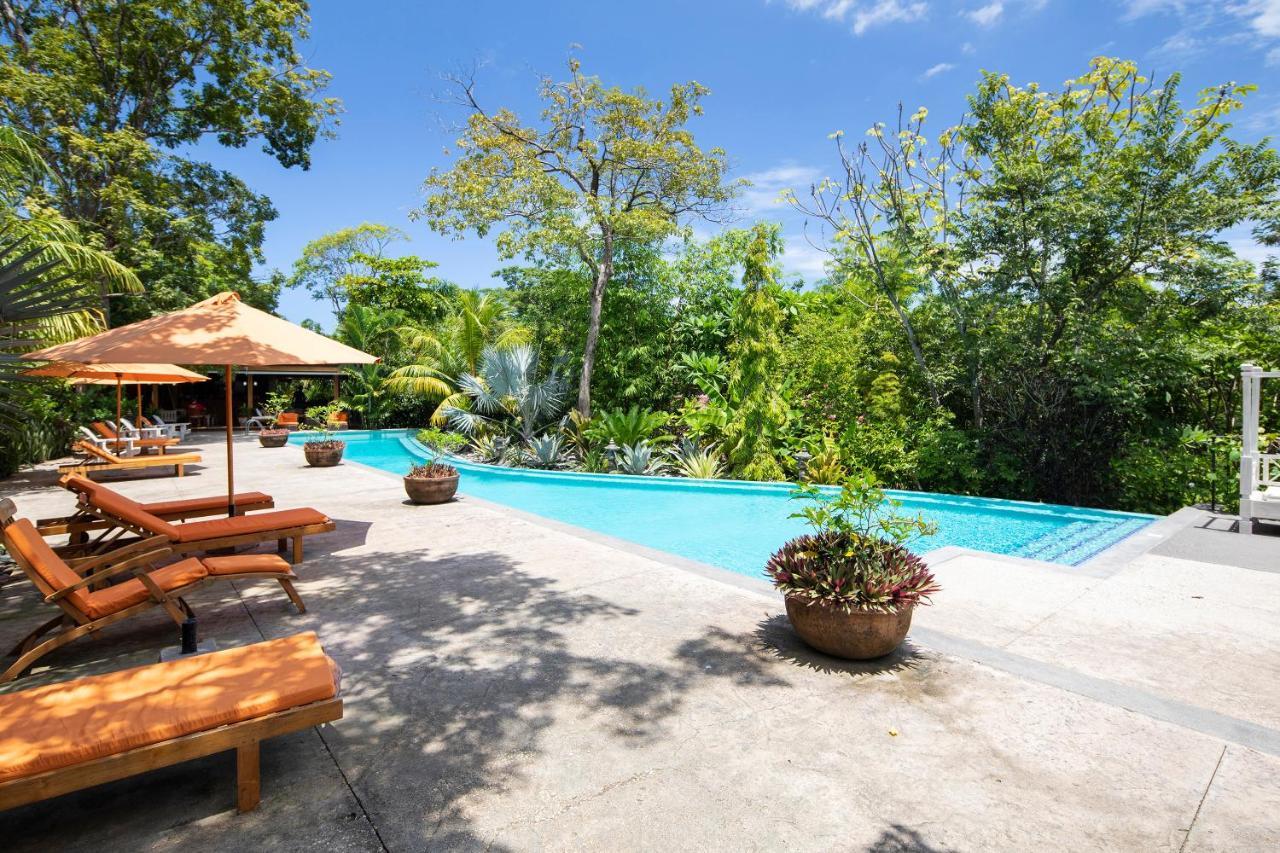 Bodhi Tree Yoga Resort Nosara Ngoại thất bức ảnh