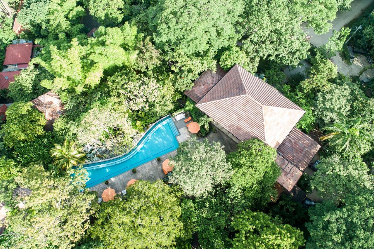 Bodhi Tree Yoga Resort Nosara Ngoại thất bức ảnh